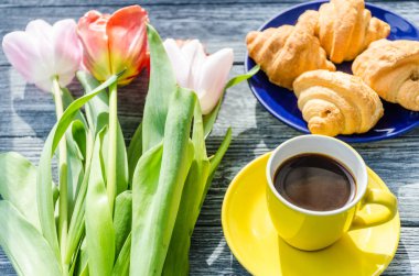 Arka plan bahar lale çiçekleri kapatın