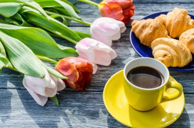 Arka plan bahar lale çiçekleri kapatın