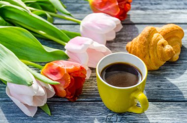 Arka plan bahar lale çiçekleri kapatın