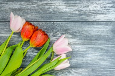 Arka plan bahar lale çiçekleri kapatın