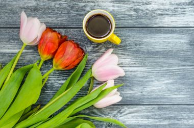 Arka plan bahar lale çiçekleri kapatın