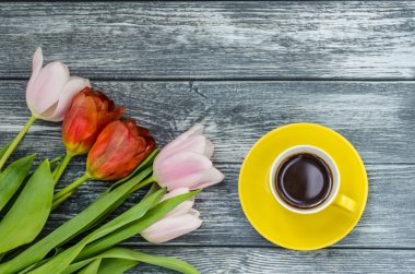 Arka plan bahar lale çiçekleri kapatın