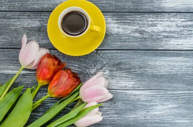 Arka plan bahar lale çiçekleri kapatın