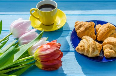 Arka plan bahar lale çiçekleri kapatın