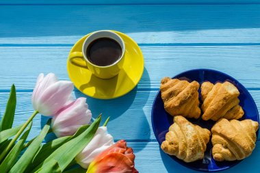 Arka plan bahar lale çiçekleri kapatın