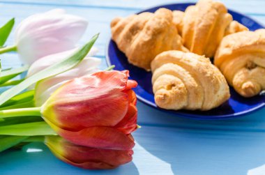 Arka plan bahar lale çiçekleri kapatın