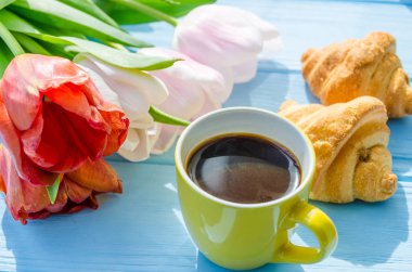 Arka plan bahar lale çiçekleri kapatın