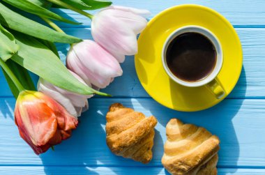 Arka plan bahar lale çiçekleri kapatın