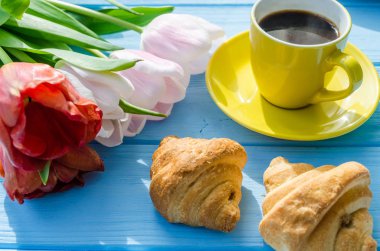 Arka plan bahar lale çiçekleri kapatın