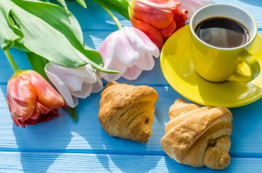 Arka plan bahar lale çiçekleri kapatın