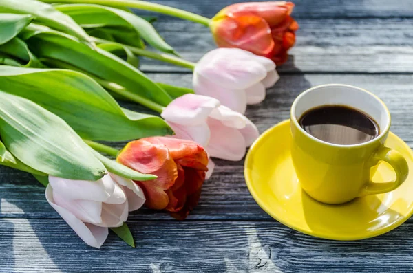 Tulipany Wiosna Zbliżenie Tła — Zdjęcie stockowe