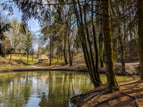 Lkviv Ukrajina Dubna 2018 Lvov Staré Architektury Panoráma Jarní Sezóně — Stock fotografie