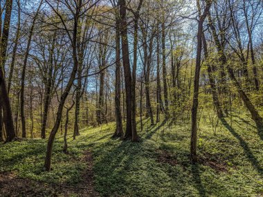 Bahar sezonu Şehir Parkı