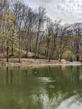 Bahar sezonu Şehir Parkı