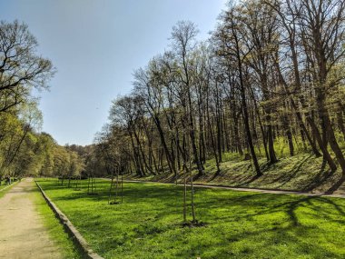 Bahar sezonu Şehir Parkı