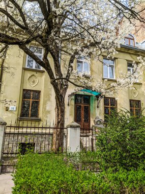 Lviv eski mimari cityscape bahar sezonu
