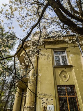 Lviv eski mimari cityscape bahar sezonu