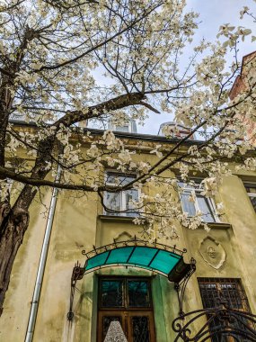 Lviv eski mimari cityscape bahar sezonu