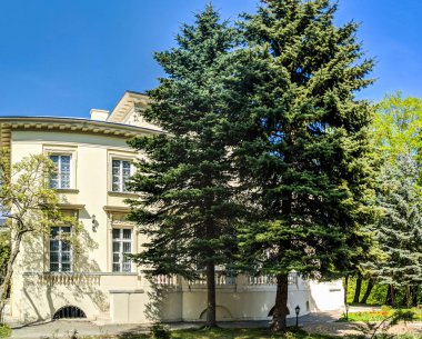 Lviv eski mimari cityscape bahar sezonu