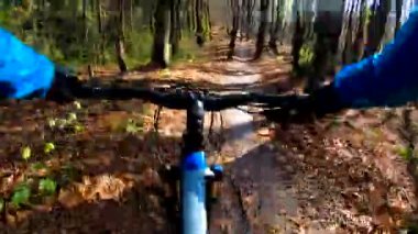 Sonbahar sezonunda enduro bisikleti süren amatör bir binici.