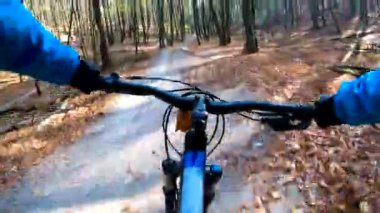 Sonbahar sezonunda enduro bisikleti süren amatör bir binici.