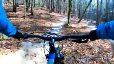 Sonbahar sezonunda enduro bisikleti süren amatör bir binici.