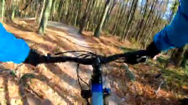 Sonbahar sezonunda enduro bisikleti süren amatör bir binici.