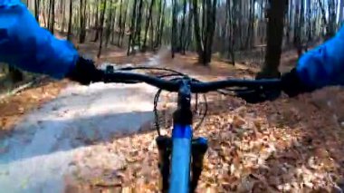 Sonbahar sezonunda enduro bisikleti süren amatör bir binici.