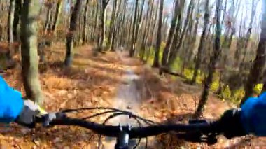 Sonbahar sezonunda enduro bisikleti süren amatör bir binici.