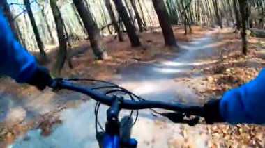 Sonbahar sezonunda enduro bisikleti süren amatör bir binici.