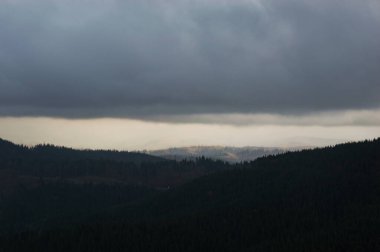 Sonbahar manzarası sisli yağmurda