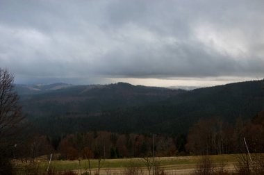 Sonbahar manzarası sisli yağmurda