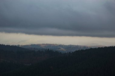 Sonbahar manzarası sisli yağmurda