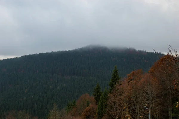 Fondo Paisaje Otoñal Bajo Lluvia Con Niebla — Foto de Stock