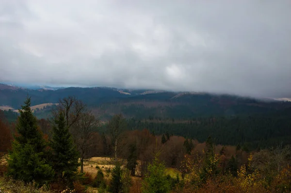 霧と雨の中の秋の風景の背景 — ストック写真