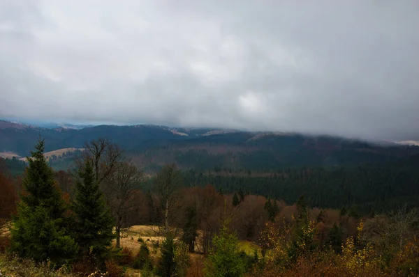 Fondo Paisaje Otoñal Bajo Lluvia Con Niebla — Foto de Stock