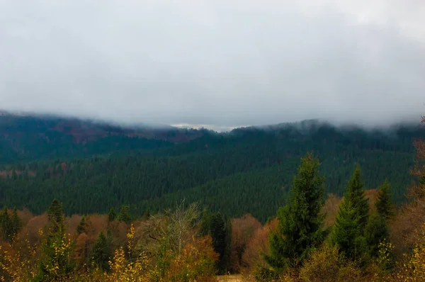 Herfst Landschap Achtergrond Regen Met Mist — Stockfoto