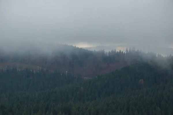 Autunno Paesaggio Sfondo Sotto Pioggia Con Nebbia — Foto Stock