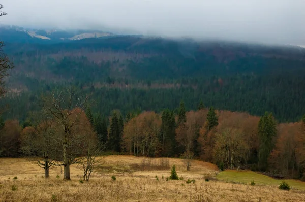 Fondo Paisaje Otoñal Bajo Lluvia Con Niebla —  Fotos de Stock