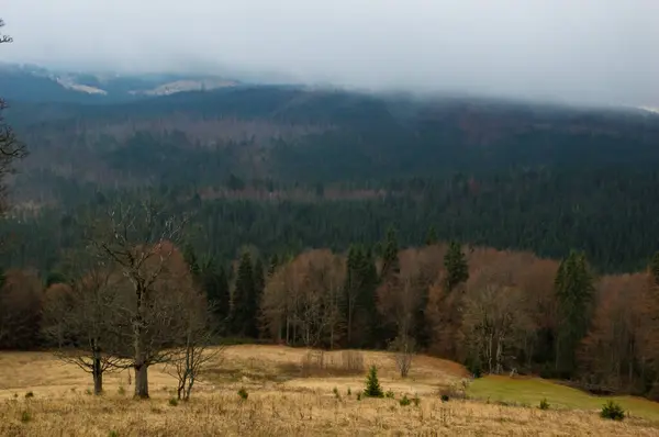 Fondo Paisaje Otoñal Bajo Lluvia Con Niebla —  Fotos de Stock