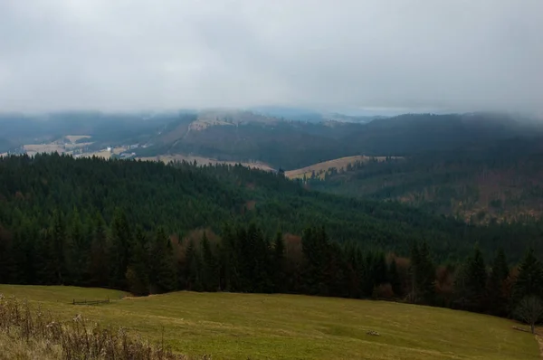 Fondo Paisaje Otoñal Bajo Lluvia Con Niebla —  Fotos de Stock