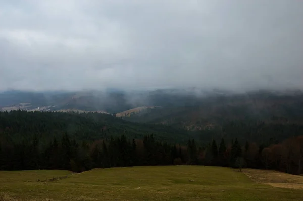 Fondo Paisaje Otoñal Bajo Lluvia Con Niebla —  Fotos de Stock