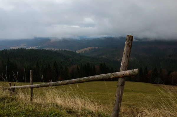 Herfst Landschap Achtergrond Regen Met Mist — Stockfoto