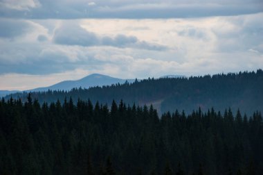 Karpat Dağları yağmur altında sisli video görüntüleri