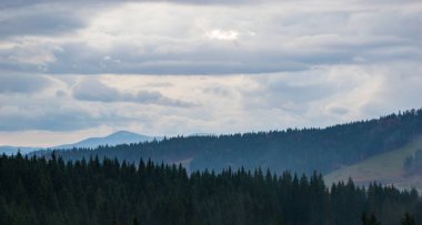 Karpat Dağları yağmur altında sisli video görüntüleri