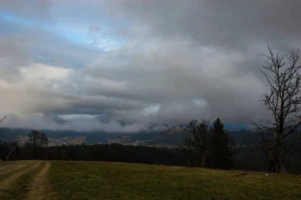 Cárpatos Montanhas Paisagem Vídeo Imagens Chuva Com Nevoeiro — Fotografia de Stock