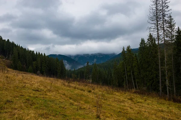 Carpathian mountains landscape video footage in the rain with fog