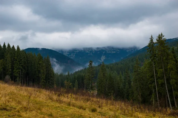 カルパチア山脈風景ビデオ霧と雨の中での映像 — ストック写真