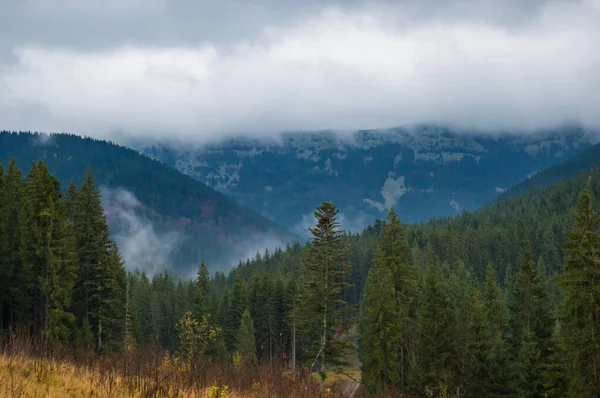 Carpathian mountains landscape video footage in the rain with fog