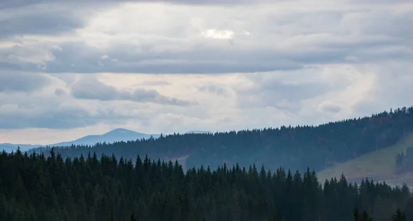Karpaten Landschaft Videomaterial Regen Mit Nebel — Stockfoto